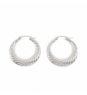 Pendientes acero 2750100000261