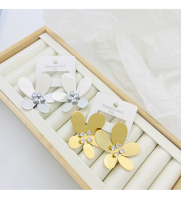Pendientes acero Plateado...
