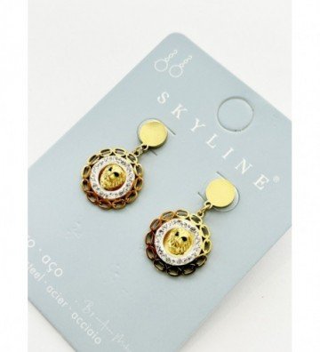 Pendientes acero 2960100000639