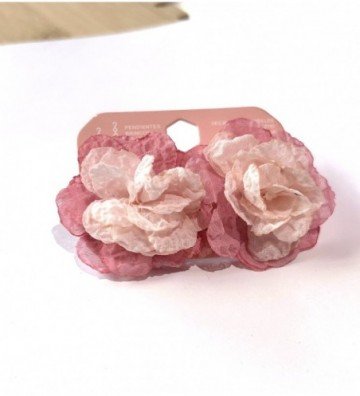Pendientes acero 9970010001544