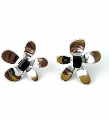 Pendientes acero plateado...