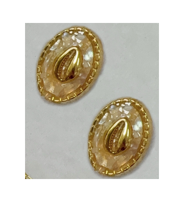 Pendientes acero Dorado...