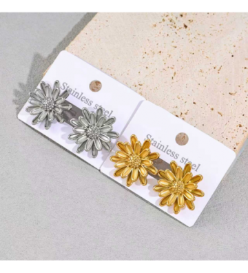 Pendientes acero Plateado...