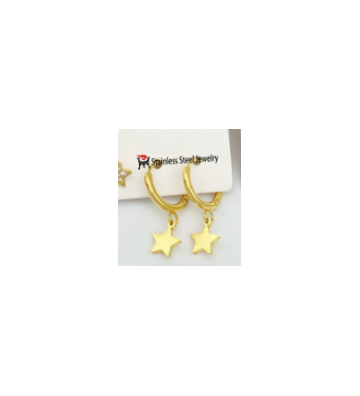 Pendientes acero Dorado...