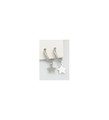 Pendientes acero Plateado...