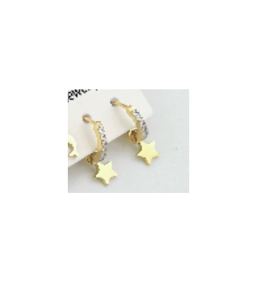 Pendientes acero Plateado...