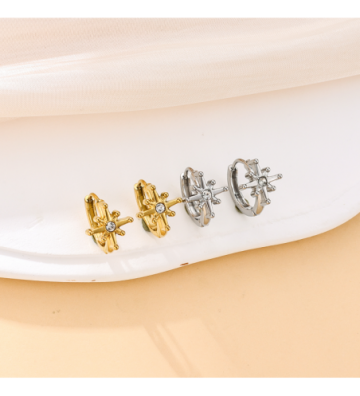 Pendientes acero Plateado...