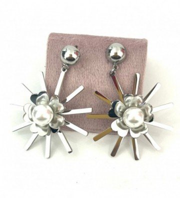 Pendientes acero Plateado...