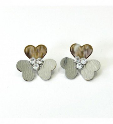 Pendientes acero Plateado...