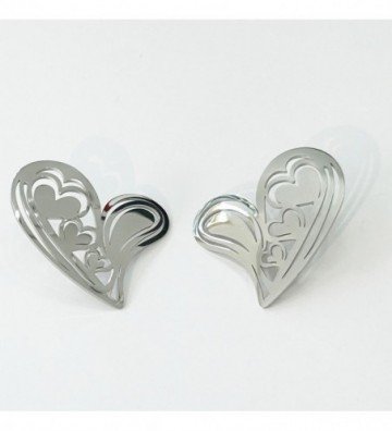 Pendientes acero Plateado...