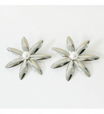 Pendientes acero Plateado...