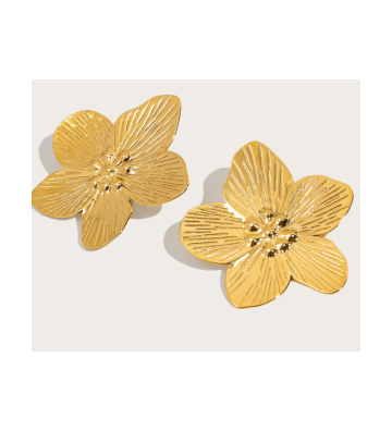 Pendientes acero 2700100002321