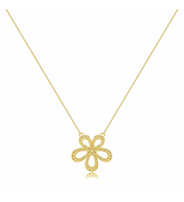 Collares acero Dorado...