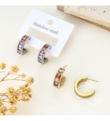 Pendientes acero Plateado...