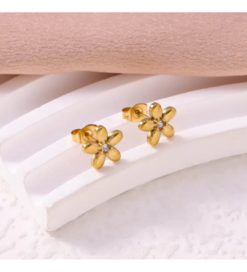 Pendientes acero 2920100012148