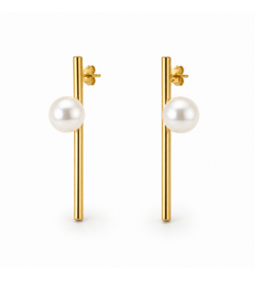 Pendientes acero 2700100015529